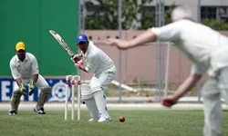Live cricket betting